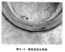 9D9-6ܷl.jpg